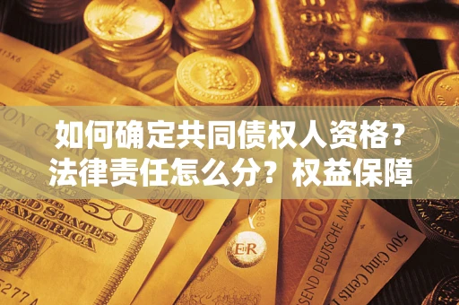 北京如何确定共同债权人资格？法律责任怎么分？权益保障技巧揭秘！