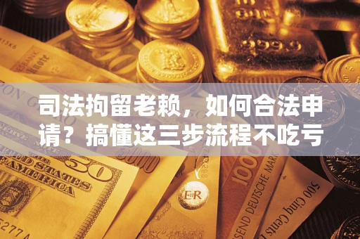 北京司法拘留老赖，如何合法申请？搞懂这三步流程不吃亏！