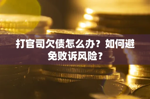 北京打官司欠债怎么办？如何避免败诉风险？