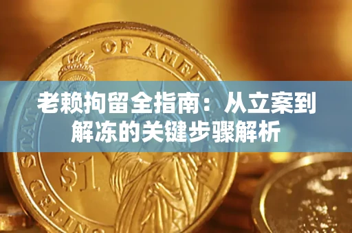 北京老赖拘留全指南：从立案到解冻的关键步骤解析