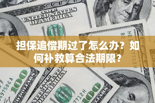 北京担保追偿期过了怎么办？如何补救算合法期限？
