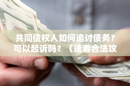 北京共同债权人如何追讨债务？可以起诉吗？（速看合法攻略）